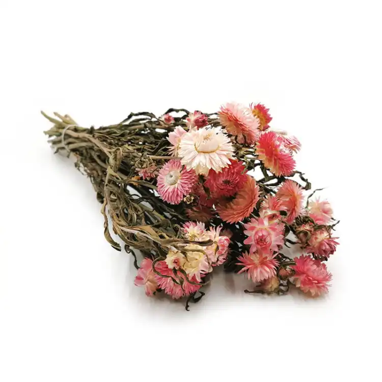 Kocanka różowa suszona kocanki chelichrysum bukiet2.jpg