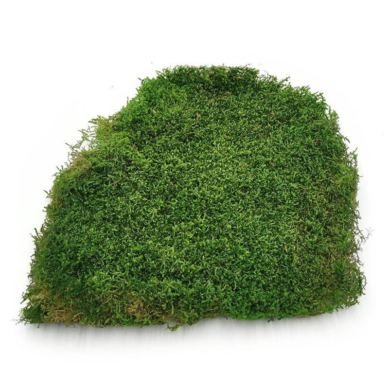 Long Moss Flat Medium Green.jpg