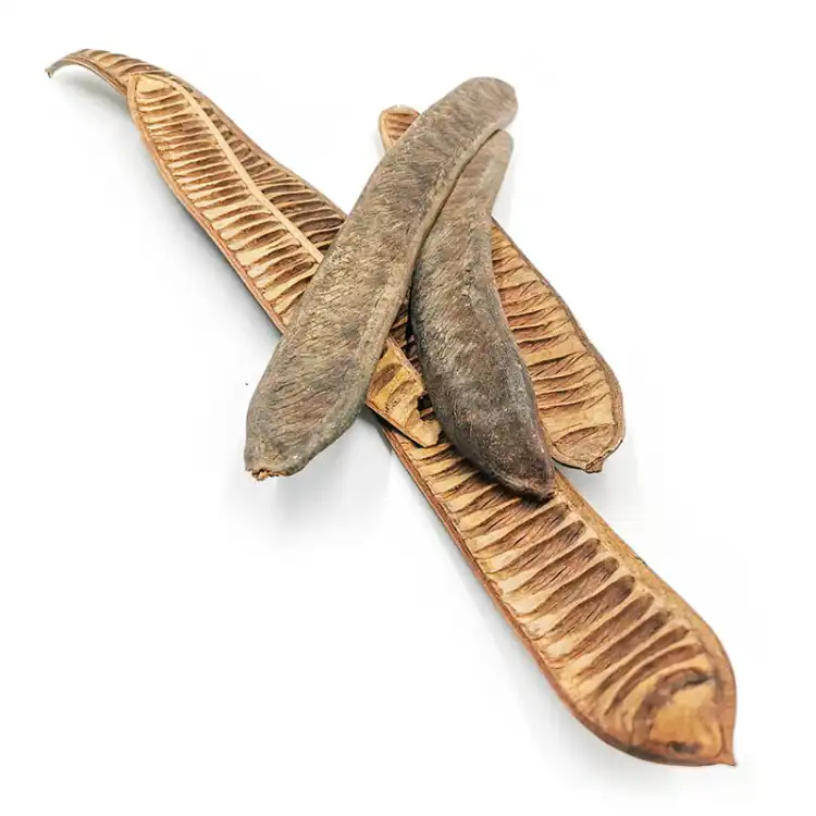 Machete Step Fruit 5szt.jpg