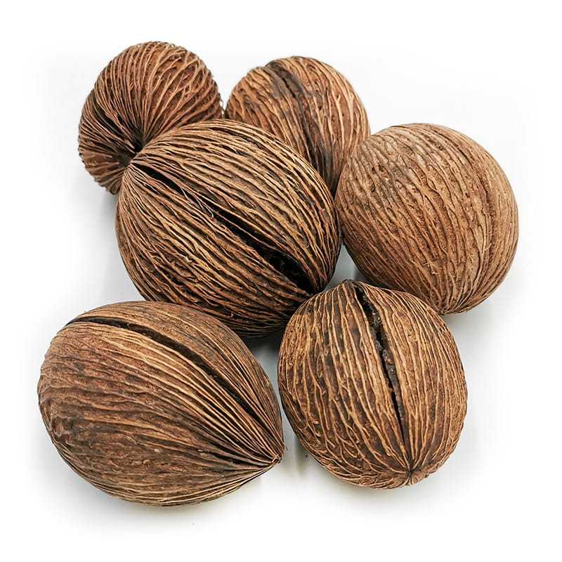 Mintola-Kugel - (Natürliche) - Exotisch Getrocknet - Packung mit 6 Stück