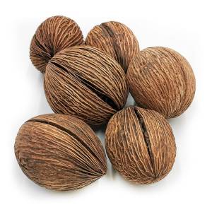 Mintola-Kugel - (Natürliche) - Exotisch Getrocknet - Packung mit 6 Stück