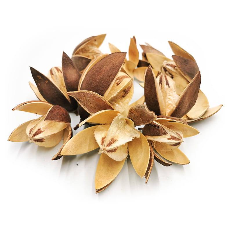 Lilly Wild 10szt paczka.jpg