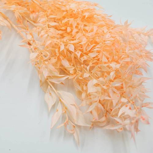 Ruskus peach zblizenie.jpg