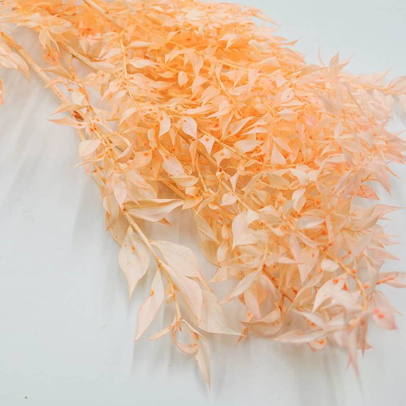 Ruskus peach zblizenie.jpg