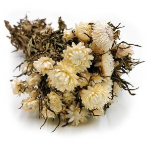 Immortelle Getrocknete - (Helichrysum Bacteatum) - Natürlich Weiß