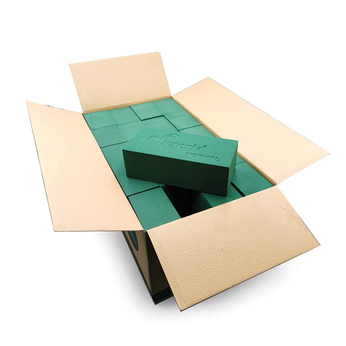 Blumenschwamm – Steckmasse – Victoria – nass – 20 Stück