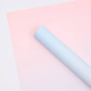 Floristische Folie - "Gradient" Blau + Pink - Bögen 50x58 cm - 20 Stück