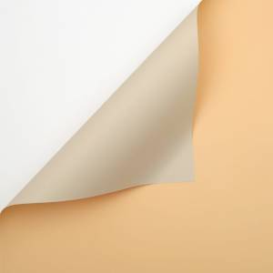 Floristische Folie - Blassorange + Milchtee - Bögen 58x58 cm - 20 Stück