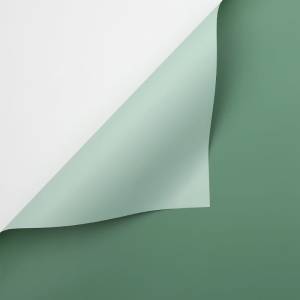 Floristische Folie - Pastellgrün + Salbeigrün - Bögen 58x58 cm - 20 Stück