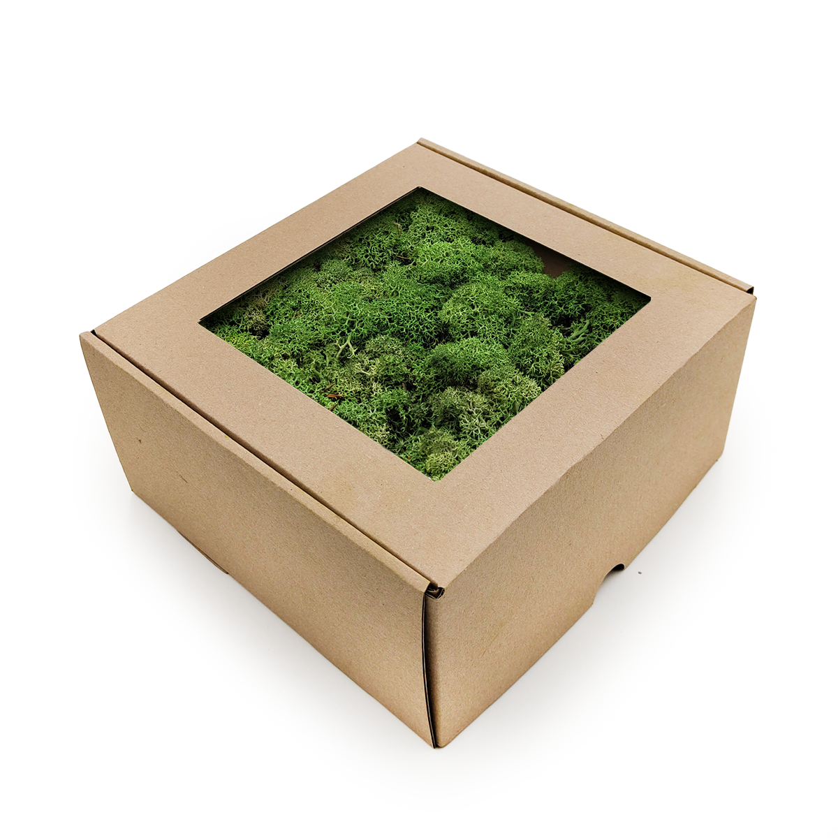 Rentiermoos - Islandmoos - Flaschengrün 50g NET