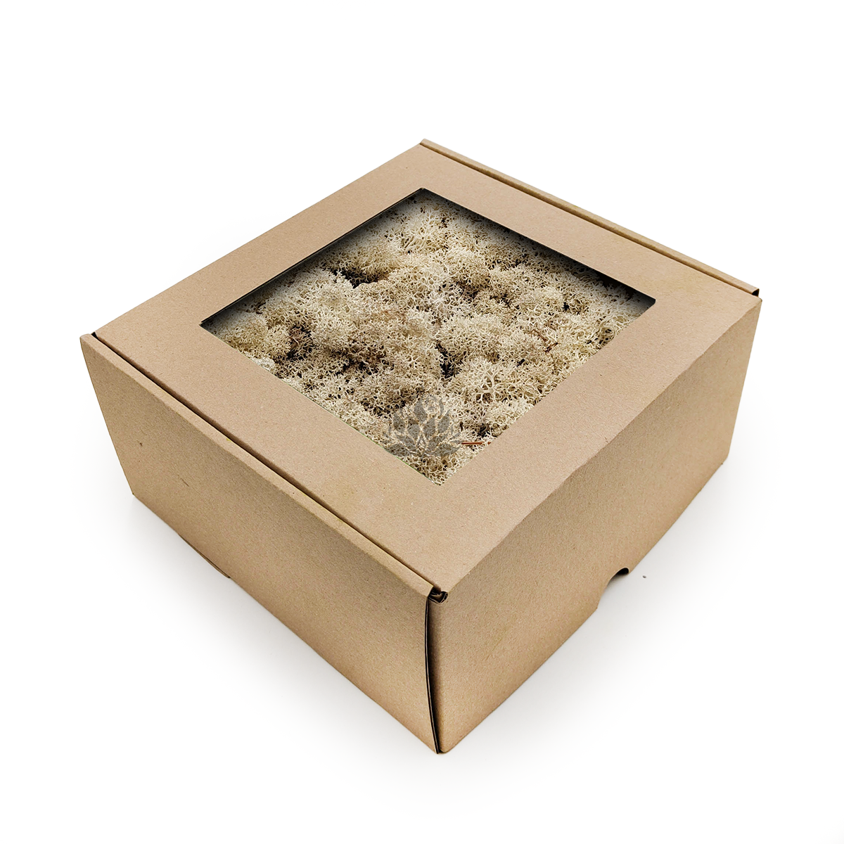 Rentiermoos - Islandmoos - Natürliches Weiß 250g NET