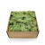 Nor Mint 1.png