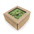Nor Mint 3.png