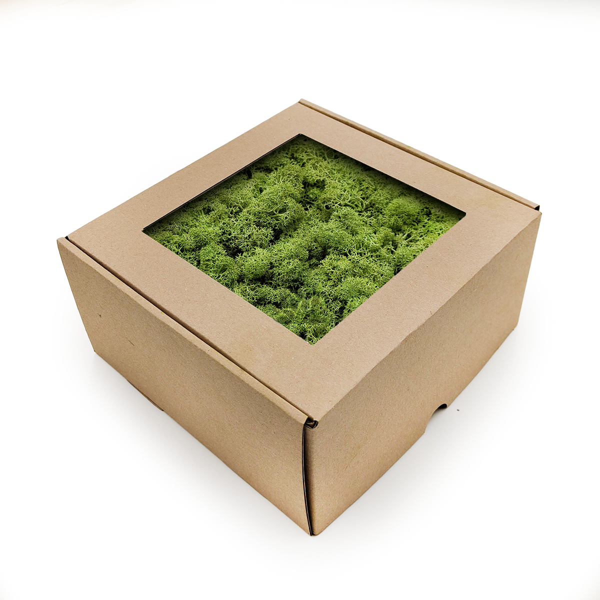 Rentiermoos - Islandmoos - Mittelgrün 50g NET