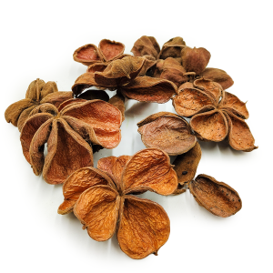 Land Lotus Naturalny - Packung 10 Stück