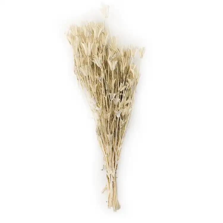 czarnuszka orientalna bielona cala.png