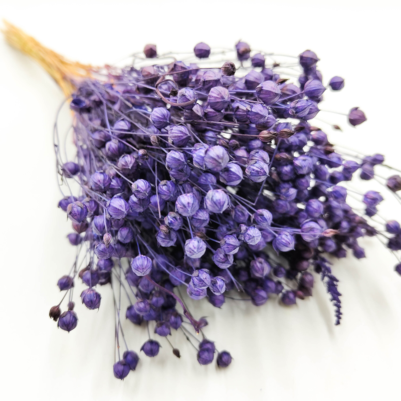 suszony len królewski granat zblizenie.png