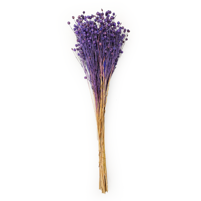 Suszony Len Królewski Granat.png