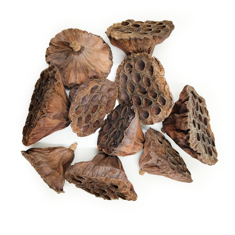 lotox L Naturalny.png