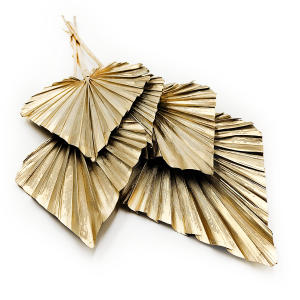 Palmenspeer Getrocknete - (Palm Spear) - Gold