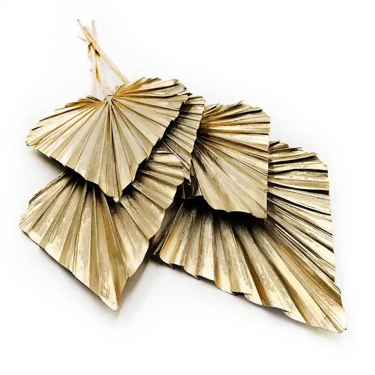 palm spear zloty suszony okladka.png