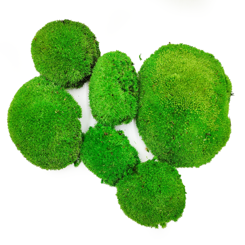 Mech Poduszkowy Szwedzki Premium Średnia Zieleń gora.png