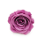 Róża Stabilizowana Lilac okladka.png