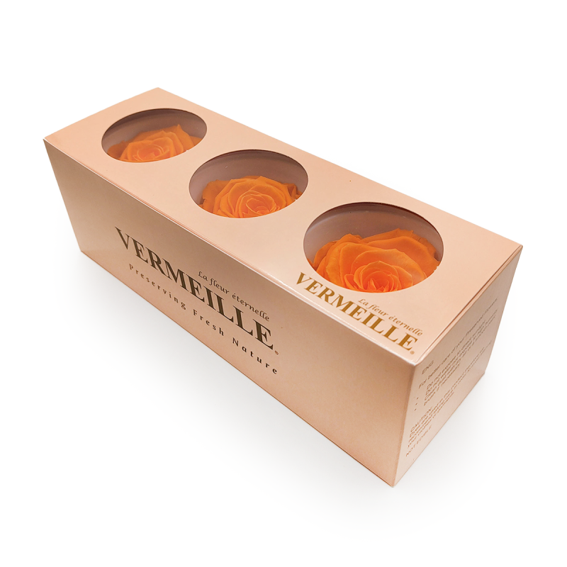 Róża Stabilizowana Orange pud zam.png