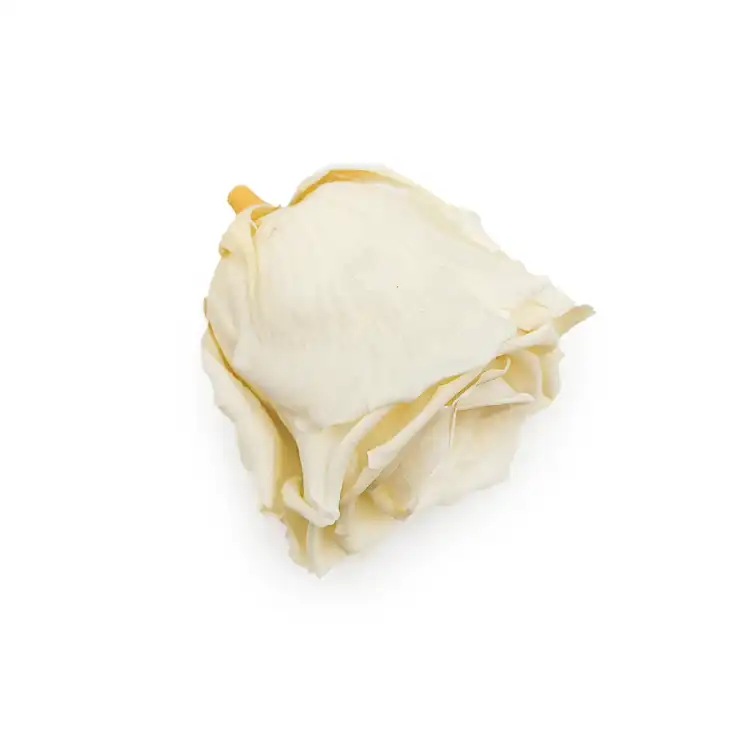 Róża Stabilizowana Pastel Yellow gora.png