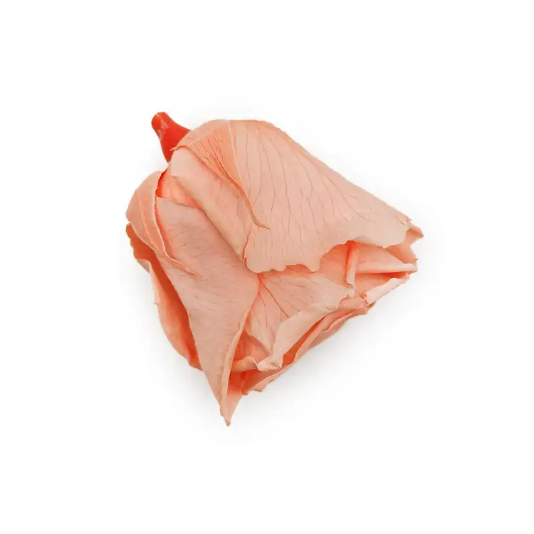 Róża Stabilizowana Peach gora.png