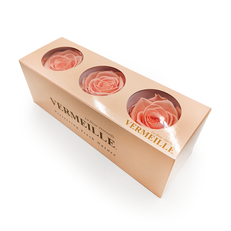 Róża Stabilizowana Peach pud zam.png