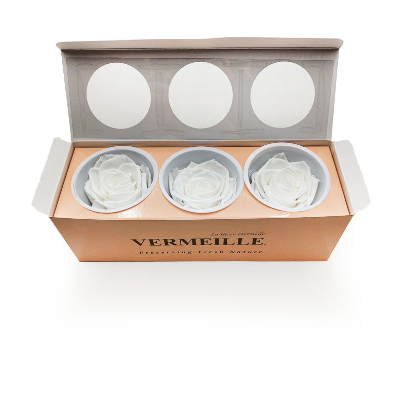 Róża Stabilizowana Princess White pud otw.png