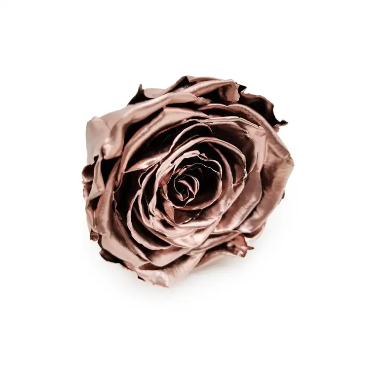Róża Stabilizowana Rose Gold skos.png