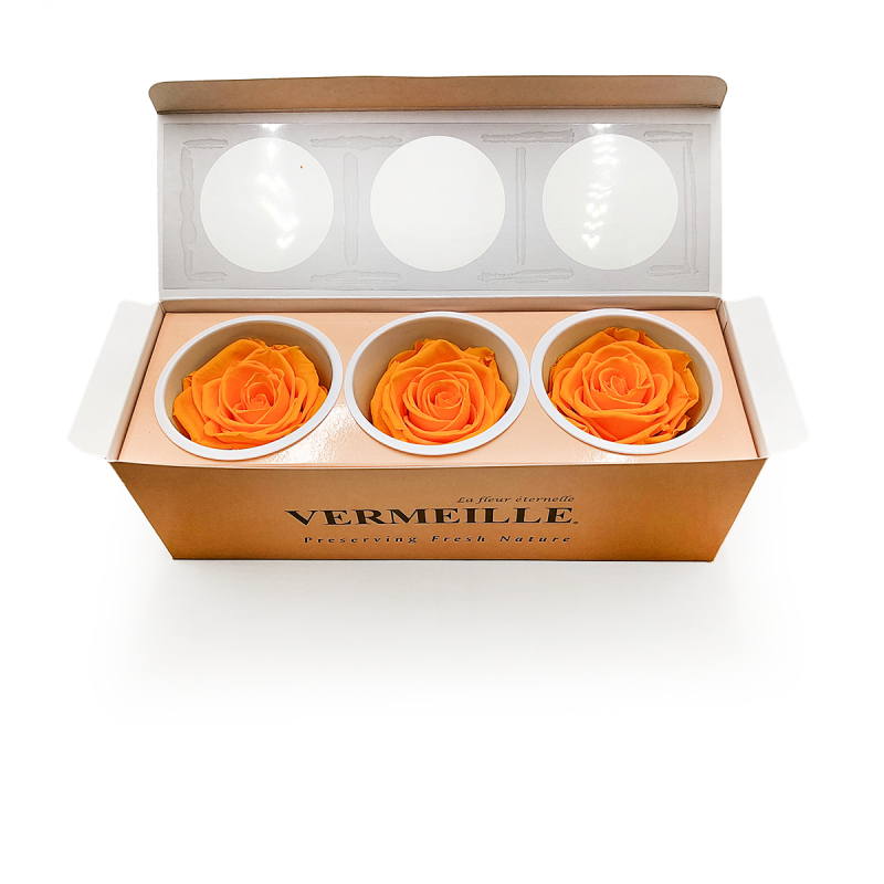 Róża Stabilizowana Saffron Yellow pud otw.png