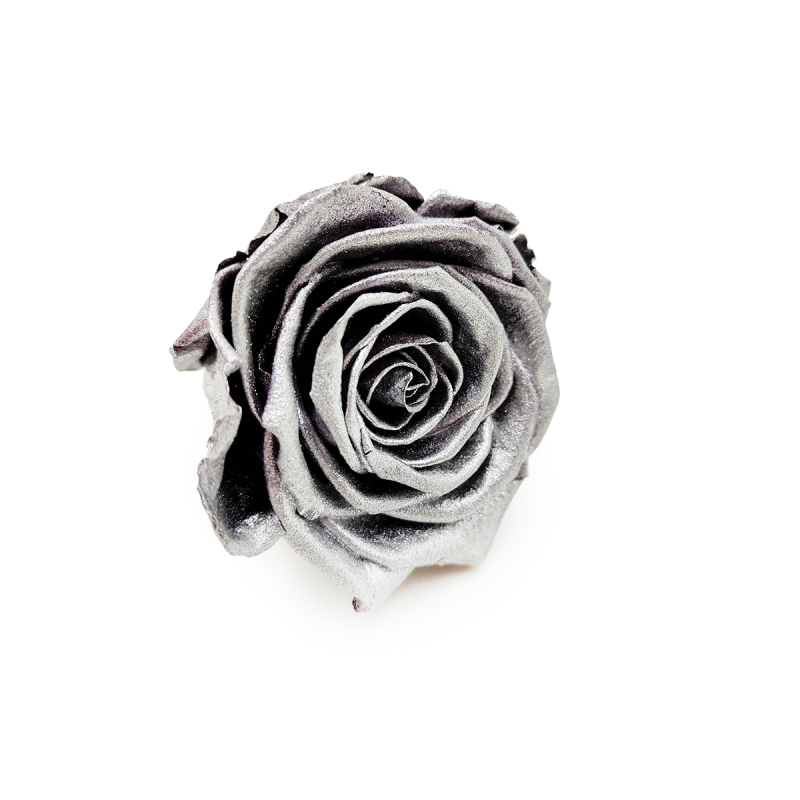 Róża Stabilizowana Silver skos.png