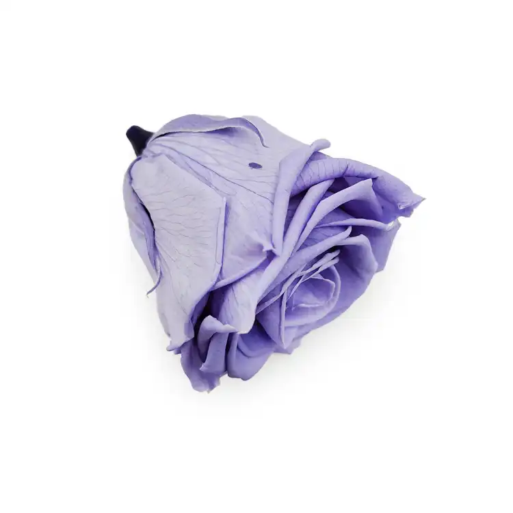 Róża Stabilizowana Very Grape gora.png