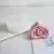 019a38921897d0577a1f08d0d2456765.webp