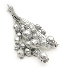 Mohn Kopf Samen Getrocknete - Silber