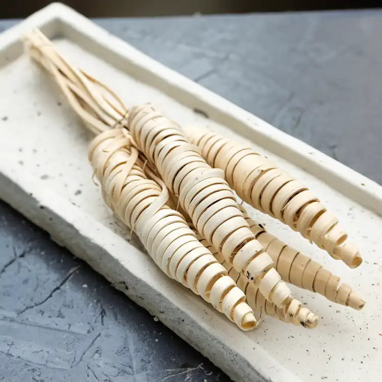 Cane Cone Suszone Paczka okl1.png