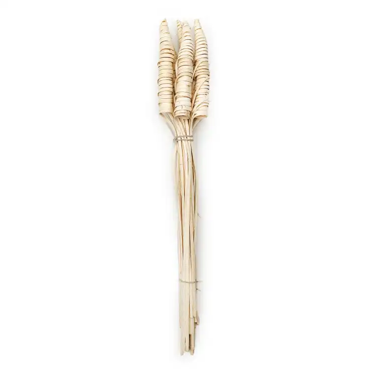 Cane Cone Suszone Paczka paczka.png