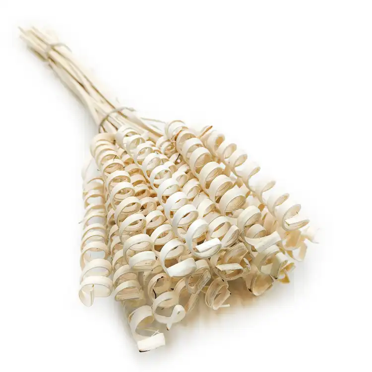 Cane Spring okl.png