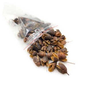 Natürliche Bakuli - Exotisch Getrocknet - 100g