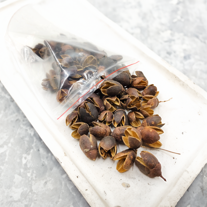 Bakuli Suszone Naturalne 100g okl1.png