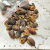 Bakuli Suszone Naturalne 100g zbl.png