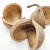 Budda Nut Natural zbl1.png
