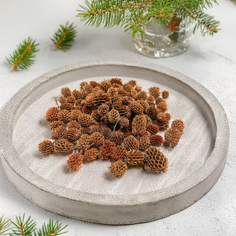 Casurina Natural.png