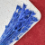 Nigella Orientalis czarnuszka orientalna niebieska 1.png