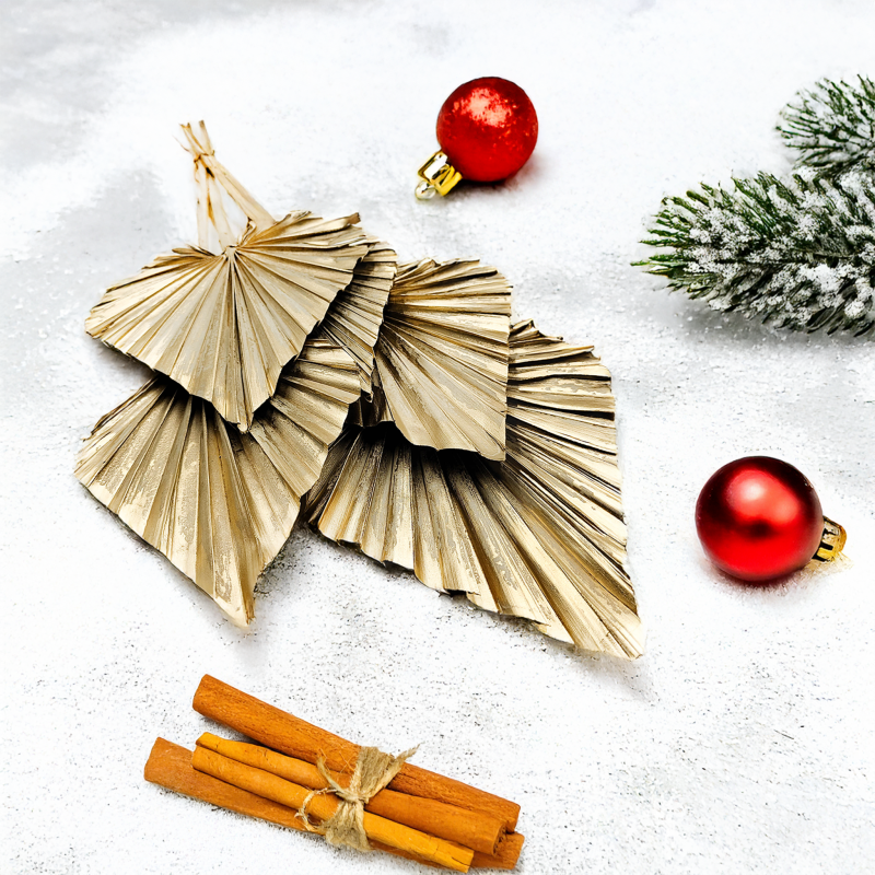 Palm Spear Gold złota palma strzalka suszona3.png