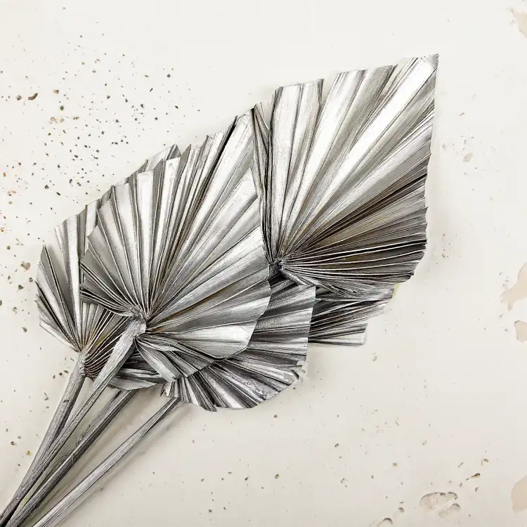 Palm Spear Silver Palma suszona srebrna1.png