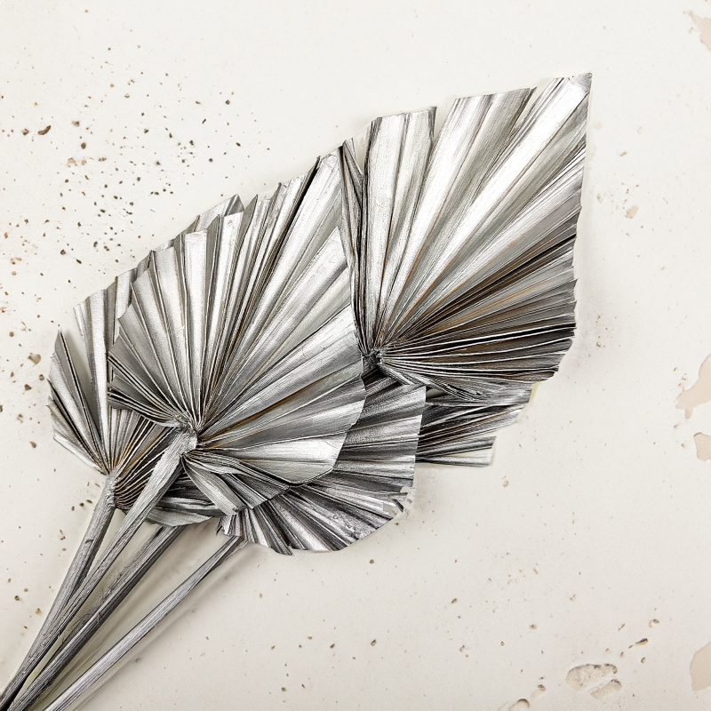 Palm Spear Silver Palma suszona srebrna1.png
